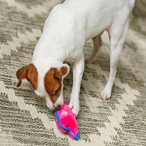 Outward Hound Durablez Minis – Squeaky Plush Dog Toy, No Stuffing for Less Mess, Interactive & Tough, Jumbo Squeaker, Puppies & Small Dogs, Pig, 6.8" - color: Pig, size: X-Small