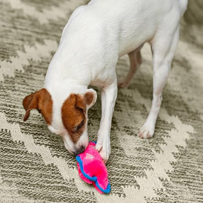Outward Hound Durablez Minis – Squeaky Plush Dog Toy, No Stuffing for Less Mess, Interactive & Tough, Jumbo Squeaker, Puppies & Small Dogs, Pig, 6.8" - color: Pig, size: X-Small