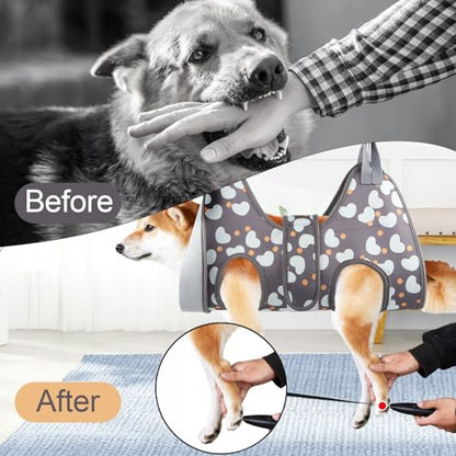ATESON Dog Grooming Hammock for Small Dogs Cat, Dog Grooming Harness for Nail Trimming, Pet Grooming Hammock Sling for Cutting Nails with Nail Clippers, Nail File - size: XS for Cats & Tiny Dogs 20LB