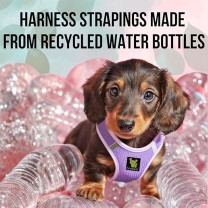 EcoBark Premium Teacup Dog Harness - Luxury Soft Tiny and Toy Breed Dog Harnesses for Puppy - Mini Step in Vest Body Halter Under 5 lbs (XXXS, Lavender) - color: Lavender, size: XXXS- 2 to 3 lbs- Chest up to 10 in (Pack of 1)