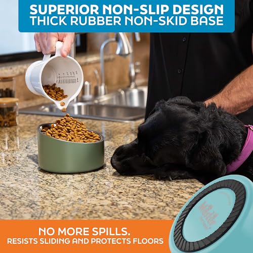 Master Pet Supply Stainless Steel Slanted Dog Cat Food Bowl - 24 oz Heavy Duty - Aqua Sky, Double Wall Insulated, Non-Slip Elevated Bowl for French Bulldogs Pugs Cats, Anti Rust Dishwasher Safe - color: Aqua Sky, size: 3 Cups (24 oz)