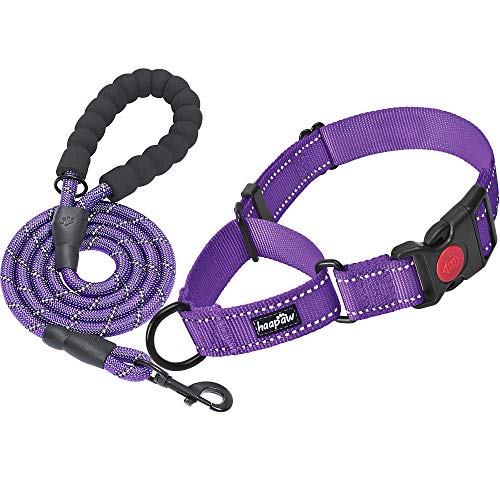 haapaw Martingale Dog Collar with Quick Release Buckle Reflective Dog Training Collars for Small Medium Large Dogs - color: Purple, size: S