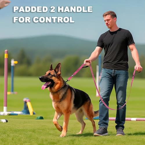 Heavy Duty Double Handle Dog Leash 6 ft Long for Total Control, Padded 2 Handle, Reflective Training Lead for Medium Large Dogs (Pink, 6 FT) - color: Pink
