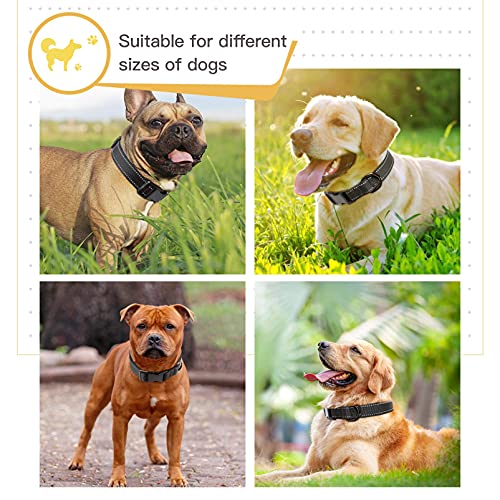 HEELE Dog Collar, Reflective Dog Collar, Soft Neoprene Padded Breathable Nylon Pet Collar Adjustable for Small Dogs, Black, XS(7.87-11.81") - color: Black, size: X-Small (7.87-11.81")