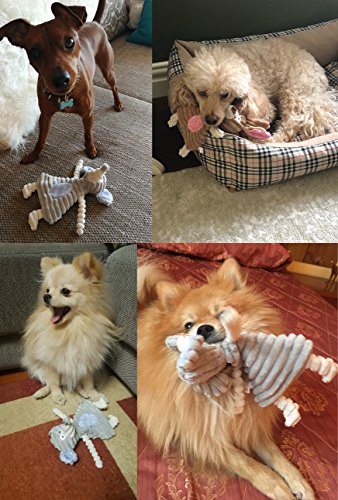 Comtim No Stuffing Dog Toys with Squeaker, Durable Dog Chew Toys, Small Dogs & Puppies, Rabbit & Elephant - size: Rabbit & Elephant