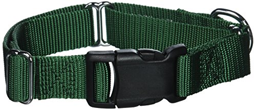 GOGO Pet Products Martingale Gentle Training Collar, Medium/Large, Hunter Green - color: Hunter Green, size: Med/Lrg (1" web width)