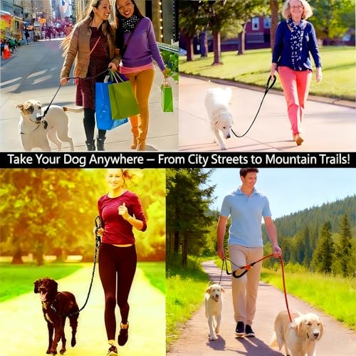 Reflective No Pull Dog Harness with 5ft Leash – Adjustable Padded Vest for Small Medium Large Dogs, Front & Back Clip, Easy Control Handle, Night Safety Walking Set (Black, M) - color: Black, size: M