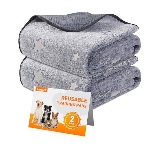 LOOBANI Washable Pee Pads for Dogs, 2 Pack 31 x 36 in Reusable Pee Pads for Dog Mat Puppy Mats Training Non Slip Whelping Mat for Dog Playpen, Crate, Car, Grey - size: 31x36 in(2 Pack)