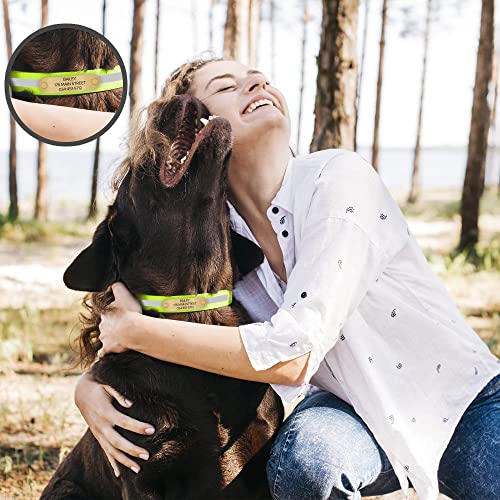 Regal Dog Products Small Yellow Reflective Dog Collar with Custom Engraved Name Plate and Heavy Duty Center Ring | Waterproof Biothane Personalized Dog Collars - Other Sizes for Medium & Large Dogs - color: Yellow, size: Small