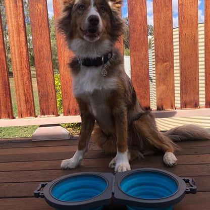 Loving Pets 73807991: Travel Double Diner Dog Bowl, Blue Sm - color: Blue