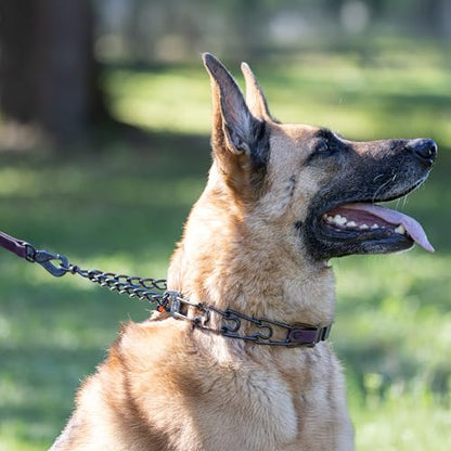 Herm Sprenger Black Stainless Steel Dog Collar with Quick Release ClicLock Buckle and Biothane Insert Training Collar Made in Germany (Violet Purple, 23in x 3.2mm(Neck Size up to19-20in)) - color: Violet Purple, size: 23in x 3.2mm(neck size up to19-20in)