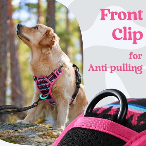 rabbitgoo Dog Harness Small Sized, No Pull Easy On & Off with 3 Buckles Pet Harness, Adjustable Soft Walking Vest with 2 Clips and Handle, Reflective for Small Dogs, Mountain Rose, S - color: Mountain Rose, size: Small