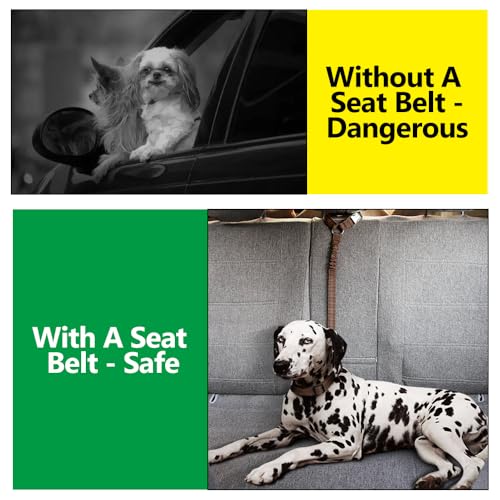 Plutus Pet Dog Seat Belt for Car Headrest, Reflective and Adjustable Restraint with Elastic Bungee for Safety, Vehicle Seatbelt Harness for Small Medium Large Dogs and Cats, Chocolate - color: Chocolate
