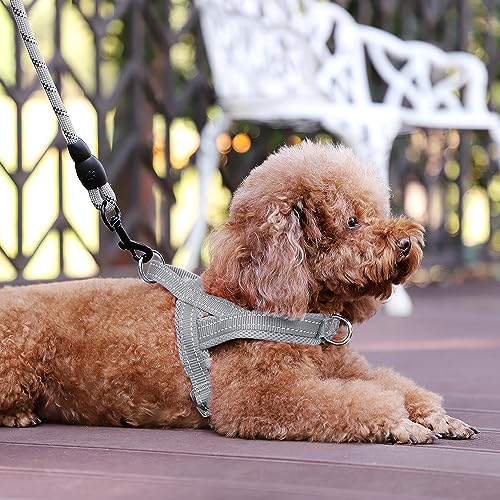 Plutus Pet No Pull Dog Harness with Breathable Mesh Padded, Adjustable Reflective Escape Proof Dog Harness, Quick Fit Dog Vest Harness for Small Medium Large Dogs(XXS, Gray) - color: Gray, size: XXS: chest 11.8"-15"