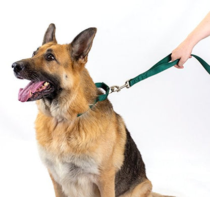Country Brook Petz - Green Martingale Heavyduty Nylon Dog Collar and Double Handle Leash (1 Inch, Large) - color: Green, size: Large (Pack of 1)