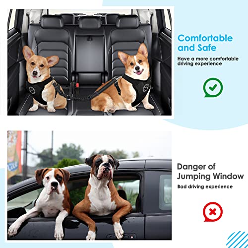 SlowTon Dog Seat Belt, Double Dog Seatbelt Adjustable Vehicle Safety Leash with Elastic Bungee Buffer, Reflective No Tangle Y Shape Two Dog Harness Seat Belt Splitter for Pets Car Trip (Black, M) - color: A.Black, size: 2 Medium in 1