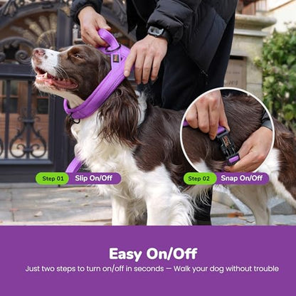 Didog No Pull Dog Harness with Breathable Mesh Padded,Reflective & Quick Fit Light Weight Dog Strap Vest Harness,Easy for Walking Training (XS:Chest 15-18", Purple) - color: Purple, size: XS: Chest 15-18", Fit 9-18 lbs