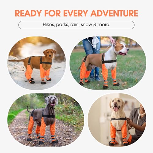 Pezluxe Dog Suspender Boots, Waterproof Anti-Slip Dog Rain Boots with Adjustable Strap for Small Medium Large Dogs, Reflective Paw Protector Pet Shoes for Outdoor Walking, Rain Snow Hiking, Orange, XL - size: XL