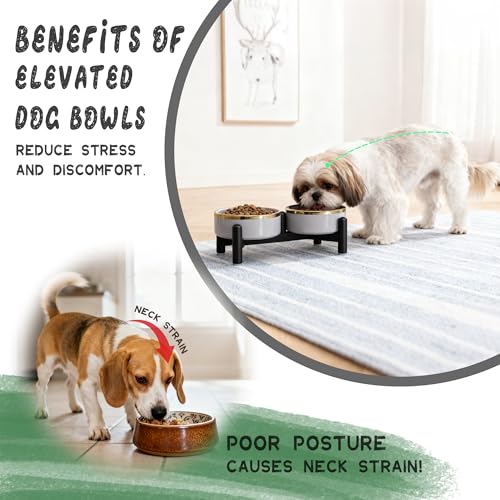 Elevated Ceramic Dog Bowl Set - Double Dishes with Stainless Steel Stand – Raised Feeding Bowls for Cats and Small Dogs - Food & Water Set - 5" / 1.6 Cups (160 g / 300 ml) - Green - color: Green, size: S