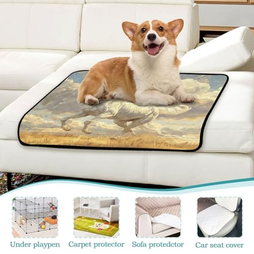 Qilmy Horse Pet Mat, Waterproof Reusable Dog Training Pad Anti-Slip Pet Creat Pad for Small Medium Large Dogs and Cats - size: Smallx3