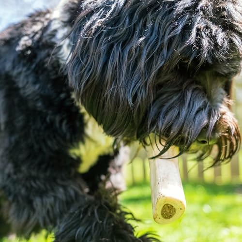 Cadet Stuffed Shin Bone, Long Lasting Dog Bones for Aggressive Chewers, High Protein Filled Dental Chew, Bully Stick Peanut Butter Filling, 5-6" for Large Dogs - size: 1 Count (Pack of 1)