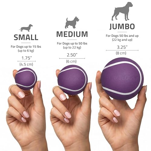 Playology Dog Toys | Squeaky Chew Ball for Dogs, Value 3-Pack | Bacon Scented Small Dog Balls | Bouncy Floating Chew Toys for Fetch - size: Small (VALUE 3-Pack), style: Bacon
