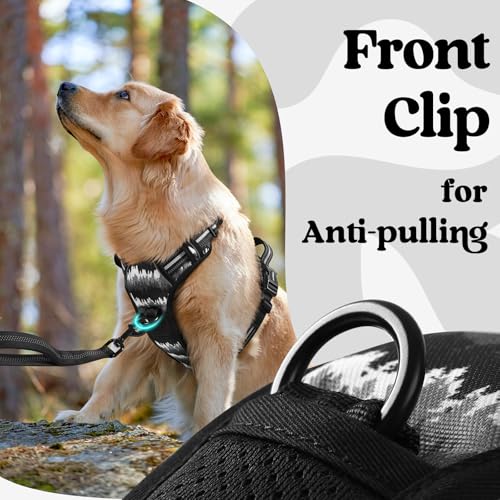 rabbitgoo Dog Harness Small Sized, No Pull Easy On & Off with 3 Buckles Pet Harness, Adjustable Soft Walking Vest with 2 Clips and Handle, Reflective for Small Dogs, Mountain Black, S - color: Mountain Black, size: Small