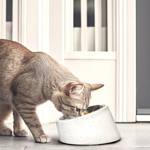 bzyoo 16oz Tilted Dog Bowl for Small Dogs & Cats, 15° Elevated Stainless Steel Pet Feeder, Ergonomic Anti-Vomiting Food Bowl for Frenchie, Pug, Persian Cat, Non-Skid Melamine Stand, Sprinkle (White) - color: White