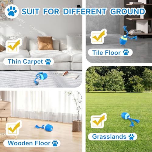 Interactive Dog Toys, [2026 Newly Upgraded] Interactive Dog Ball for Medium/Large Dogs, Automatic Moving Dogs Toy Wicked Ball for Boredom & Training, Play Music, USB Rechargeable(Blue)