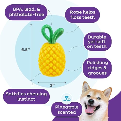 Outward Hound Dental Pineapple Dog Toy & Treat Stuffer, 6.8″ x 3.3″ Pineapple-Scent Interactive Chew for Dogs, Promote Healthy Teeth, Gums & Mental Enrichment, Reduce Boredom & Support Dental Health - color: Pineapple