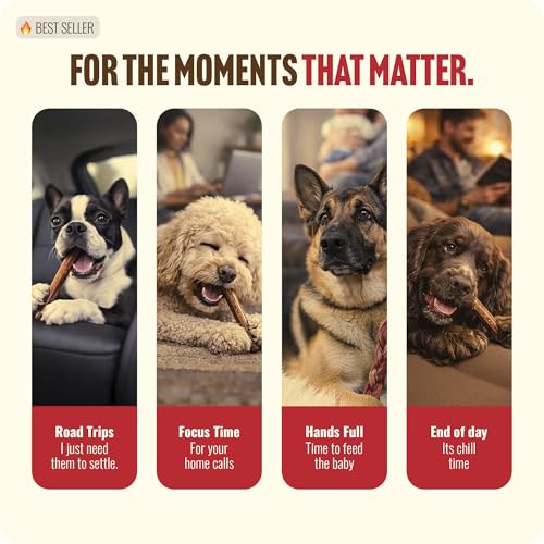 Natural Farm Odor Free Bully Sticks Ring Shaped (3-4 Inch, 10 Pack) - 100% Beef Chews for More Engagement & Fun, Grass-Fed, Non-GMO, Fully Digestible - Best for Small & Medium Chewers