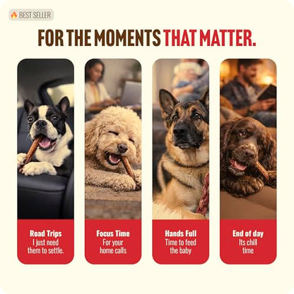 Natural Farm Odor Free Bully Sticks Ring Shaped (3-4 Inch, 10 Pack) - 100% Beef Chews for More Engagement & Fun, Grass-Fed, Non-GMO, Fully Digestible - Best for Small & Medium Chewers