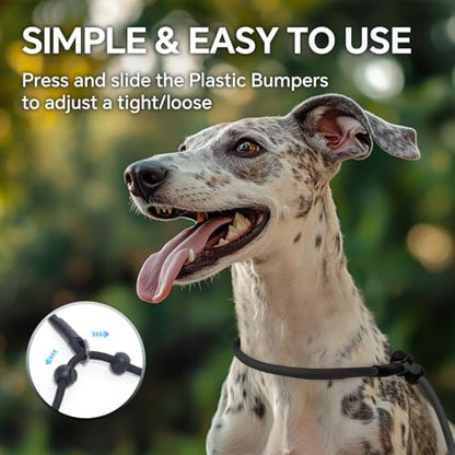 QQPETS Adjustable Slip Lead Dog Leash, Hands Free Waist Leash for Dog Walking, Reflective Training Lead with 360° Swivel Anti-Tangle, 4-7 ft Length for All Breeds - color: Grey Gradient