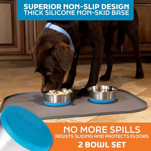 Master Pet Supply Stainless Steel Dog Bowls Set of 2 with Extra Thick Silicone Base - 4 Cup (32 oz) True Blue, Non-Slip, Dishwasher Safe Metal Bowls, Pet Dog Food Bowl for Dogs, Cats, Anti Rust - color: True Blue, size: 4 Cups (32 oz) 2 Pack