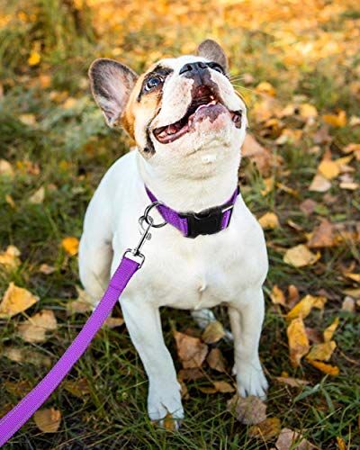 Reflective Dog Collar with Buckle Adjustable Safety Nylon Collars for Small Medium Large Dogs, Purple S - color: Purple, size: Small :Width 5/8",Neck 10-14"