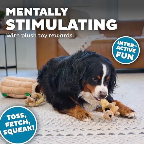 Outward Hound Hide-A-Squirrel Dog Toy – Interactive 2‑in‑1 Plush Puzzle with 6 Squeaky Removable Squirrels, X-Large - color: Squirrel Xlarge