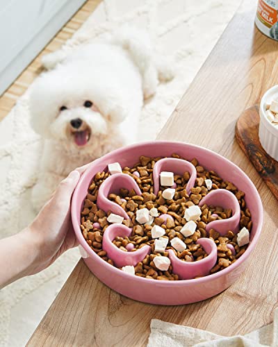 LE TAUCI Slow Feeder Dog Bowls Ceramic, 1.5 Cups Dog Food Bowl, Puppy Slow Feeder Dish for Fast Eaters,Pink Bloom - color: Pink Bloom, size: M-1.5 Cups