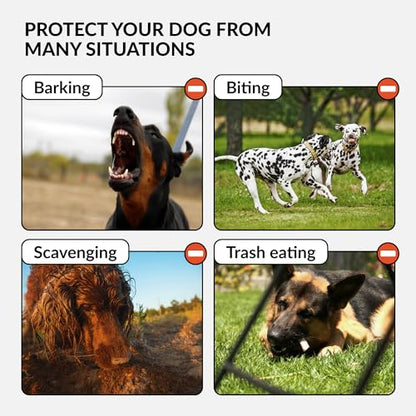 CollarDirect Dog Muzzle German Shepherd Dalmatian Doberman Setter Leather Basket Medium Large Breeds (Chestnut Brown, Medium)