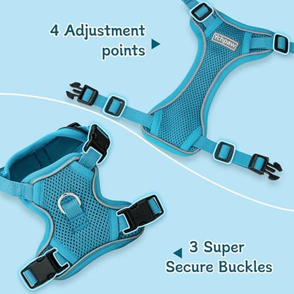 Small Dog Harness and Leash Set, Reflective Soft Breathable Mesh Vest, 3 Buckles, Adjustable Neck and Chest,Step in Dog Harness for Walking, Running, Training, Turquoise, S - color: Turquoise, size: Small