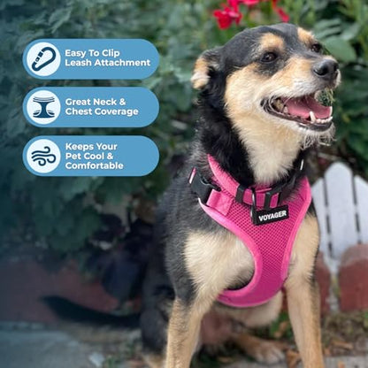 Best Pet Supplies Voyager Step-in Lock Pet Harness w Reflective Pet Leash Combo Set with Neoprene Handle 5ft - Supports Small, Medium and Large Breed Puppies/Cats - Fuchsia, XS - color: Harness Leash Set (Fuchsia), size: XS (Chest: 13 - 16")