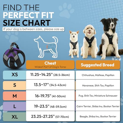 Gooby Soft Mesh X Step in, Purple, X-Small - color: Purple, size: X-Small