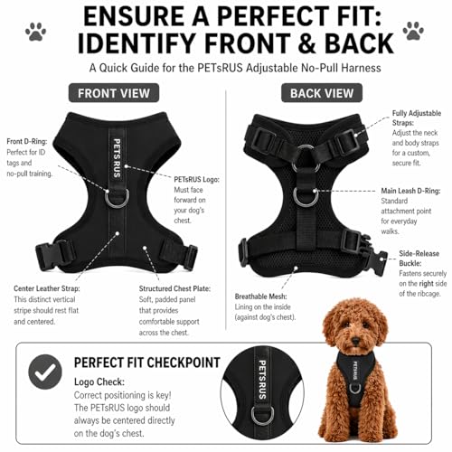 Premium No-Pull Dog Harness Soft Neoprene & Breathable Mesh Vest with Front & Back Clip D-Rings Adjustable Lightweight Walking Harness for Puppies, Small & Medium Dogs (Black, S) - color: Black, size: S: Neck=13.8-17.3''/Chest=16.1-21.3''