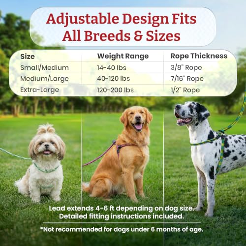 Harness Lead No Pull Dog Harness and Leash Set, Anti Pull Dog Harness for All Breeds and Sizes, One-Piece Cushioned Rope Design Safely Prevents Escaping and Pulling (Medium/Large, Red/Reflective) - color: Red Reflective