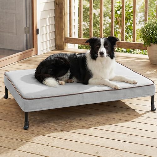 Veehoo Elevated Dog Bed with Waterproof Cushion Mat, Cooling Raised Dog Beds with Padded Top, Washable Outdoor Dog Bed, Orthopedic Pet Cot for Indoor & Outdoor, Medium Dog Bed 35.5" x 25", Dark Grey - size: 35.4"L x 25.2"W x 7.1"Th