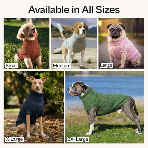 Parisian Pet Dog Sweaters - Pull Over, Turtle Neck Dog Sweater - Cable Knit Raspberry Thick Pet Sweater - Fall, Winter Pet Clothes - Flexible Arm Holes Sweater - XS
