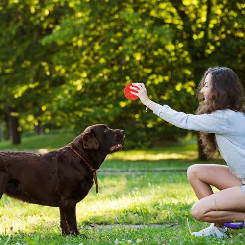 3.5” Squeaky Dog Toy Balls (6 Colors) Dog Toys Spikey Dogs Ball for Aggressive Chewers Heavy Duty Teething Large Medium Durable Dogs Balls - size: 3.5 Set of 6