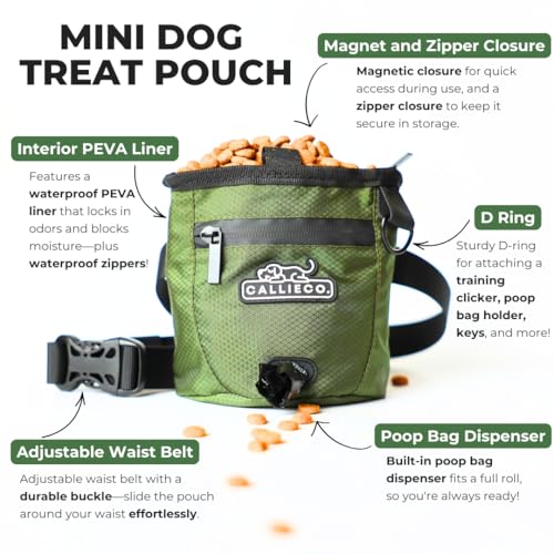Callieco Mini Dog Treat Pouch with Magnetic & Zipper Closure | Small Waist Belt Training Behavior Aid Bag for Dog Walking with Poop Bag Dispenser (Green) - color: Green