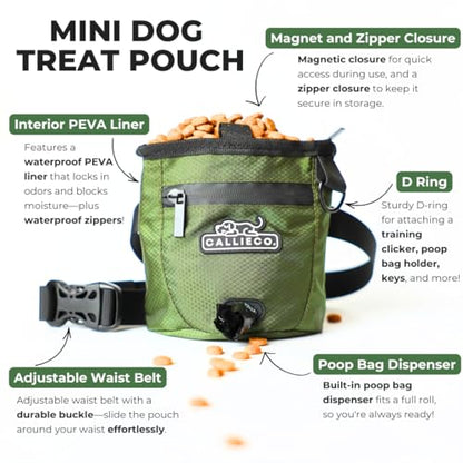 Callieco Mini Dog Treat Pouch with Magnetic & Zipper Closure | Small Waist Belt Training Behavior Aid Bag for Dog Walking with Poop Bag Dispenser (Green) - color: Green