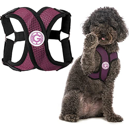 Gooby - Comfort X Step-in Harness, Choke Free Small Dog Harness with Micro Suede Trimming and Patented X Frame, Purple, Large - color: Purple, size: Large