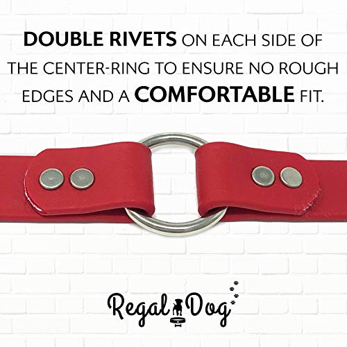 Regal Dog Products Large Red Dog Collar with Heavy Duty Double Buckle & D Ring | Vinyl Coated, Custom Fit, Adjustable Biothane Dog Collar | Chew Resistant Waterproof Center-Ring Collar for Dogs - color: Red, size: Large